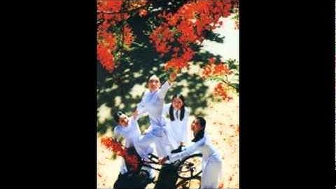 Radio So 2- mua hoa phuong