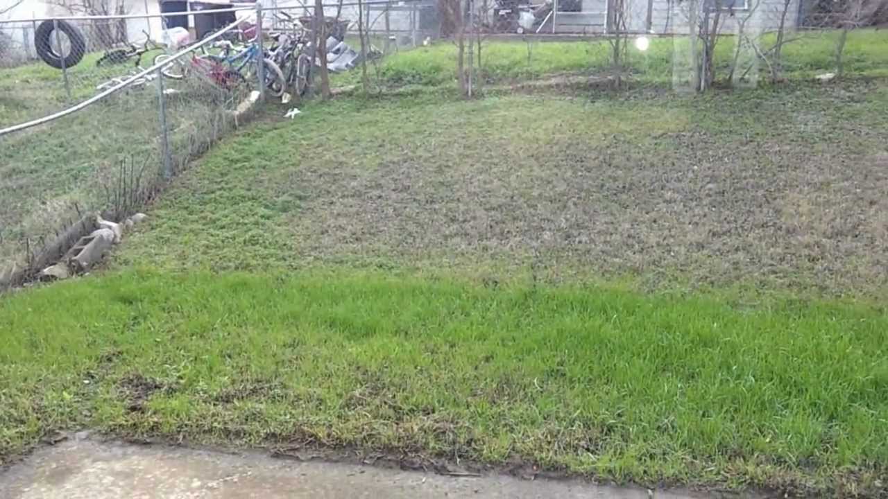 Fort Worth Westside Rental Homes TXLEC Marydean YouTube