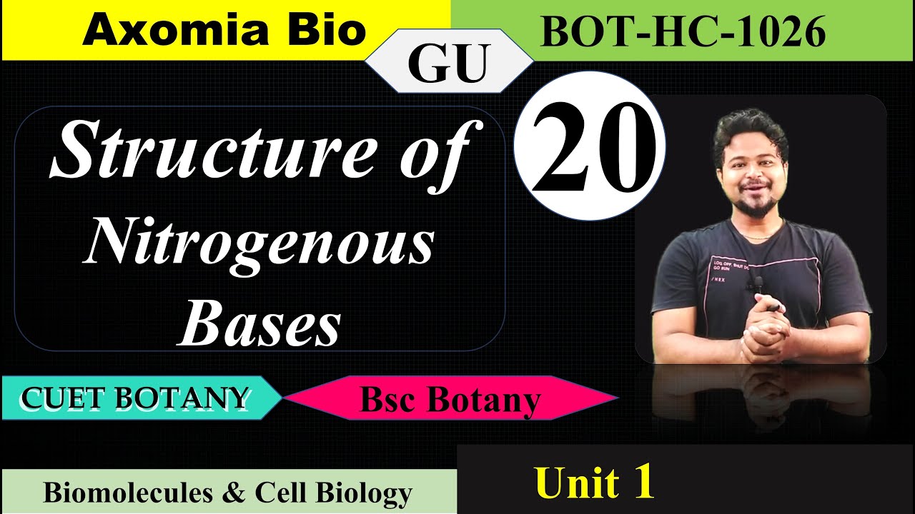 Structure of Nitrogenous Base Nucleic acid Biomolecules CUETPG Bsc