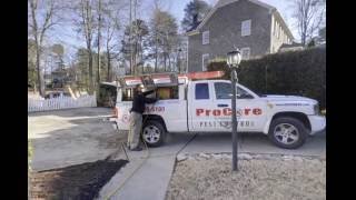Pro Core Pest Control | Greenville, SC | Pest Control