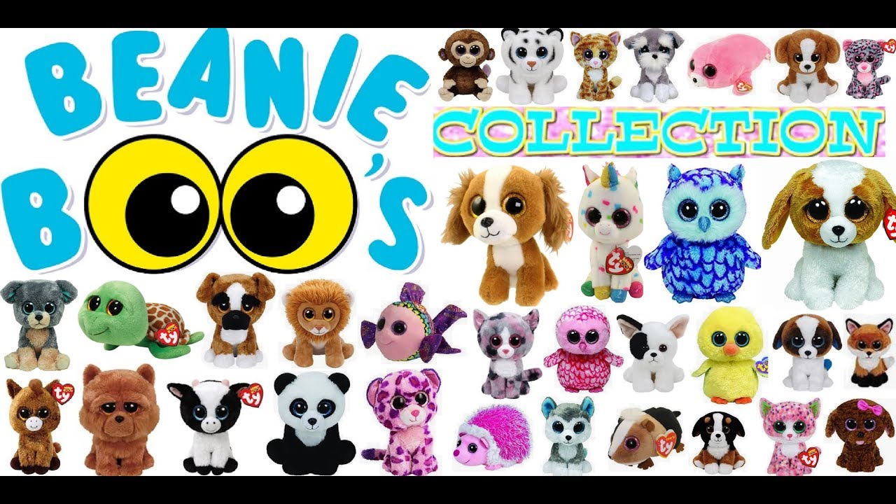 Plotselinge afdaling industrie Gevoel Mega Beanie Boo Collection! 30 + Beanie Boos with Names! - YouTube