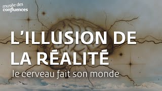Le Cerveau Fait Son Monde Lillusion De La Réalité