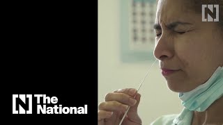 Rapid Covid-19 tests to be offered twice-weekly to everyone in England