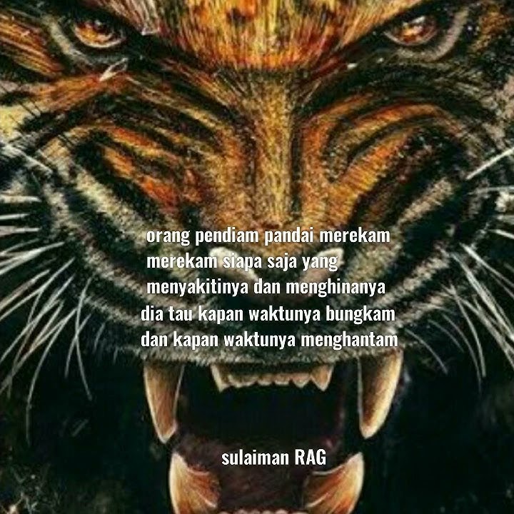 Ojo Wedi' Yen pancen wani . Ojo wani' Yen pancen wedi