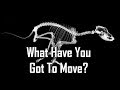 Big Picture Science: What Have You Got To Move - Apr 30, 2018