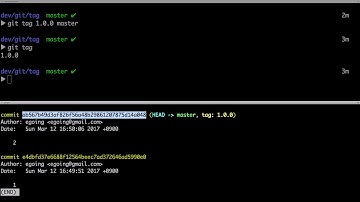 지옥에서 온 Git - 2 tag 1 (기본 사용법)