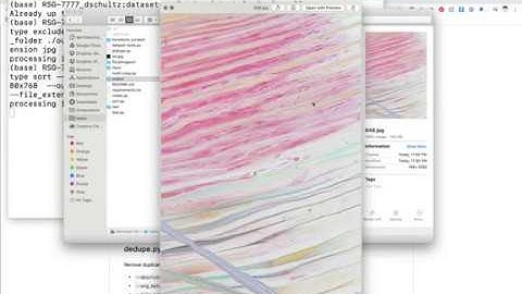Sorting images using the dataset-tools library