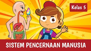 Sistem Pencernaan Manusia Itu Seperti Apa, Ya