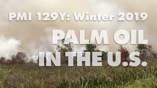 Palm Oil in the U.S. (group 17, PMI 129Y Winter 2019)