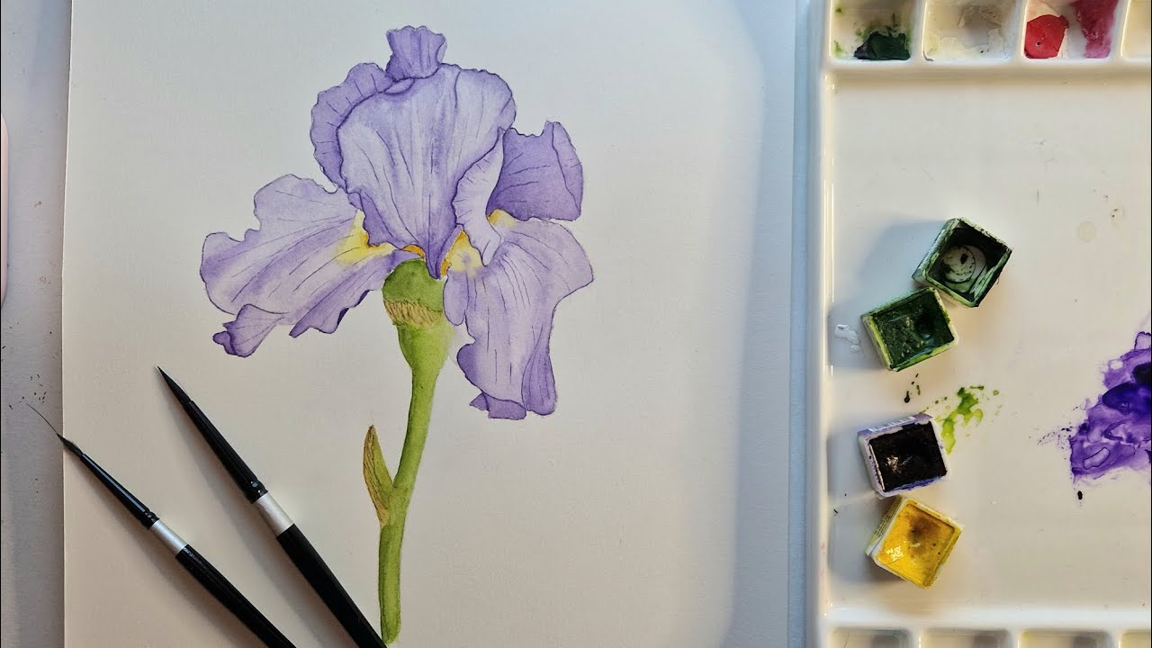 Painting a Purple Tulip with watercolour markers - Aquamarker tutorial 
