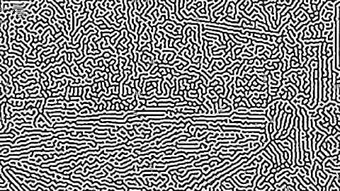 Video Turing Patterns