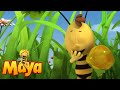 Mother Courage - Maya the Bee - Episode 25