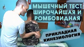 Мышечный тест(ММТ). Широчайшая спины, ромбовидная. Прикладная кинезиология