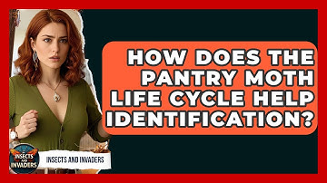 How Does The Pantry Moth Life Cycle Help Identification? - Insects and Invaders