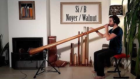 12 shades of Evoludidg . Combo by Didgelement