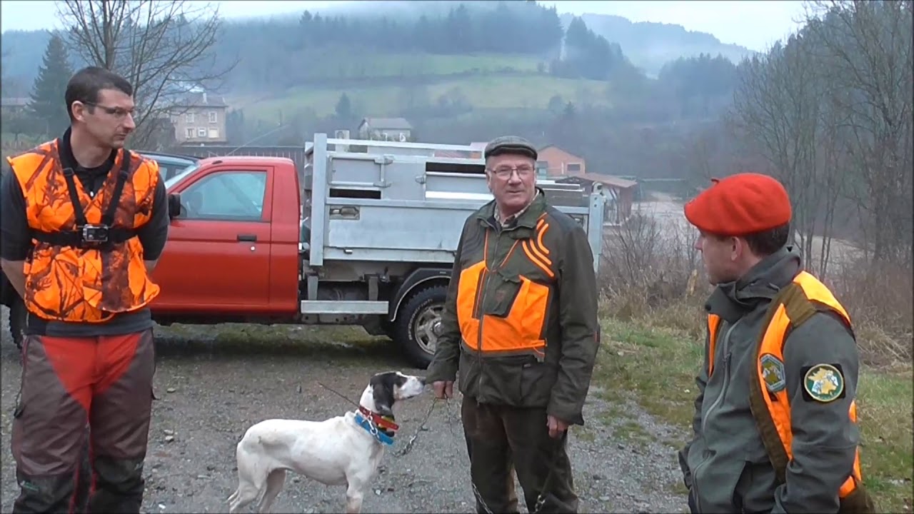 concour chien rapprocheur 2018