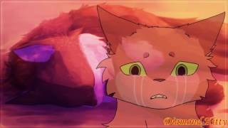 Огнегрив(Огнезвёзд) и Пестролистая/Fireheart(Firestar)&Spottedleaf - Любви точка нет Огнегрив(Огнезвёзд) и Пестролистая/Fireheart(Firestar)&Spottedleaf - Любви точка нет