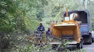 JR Tree Service screenshot 1
