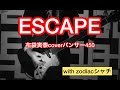 ESCAPE 布袋寅泰coverパンサー450