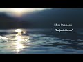 Elisa Brander: "Paljastettuna"