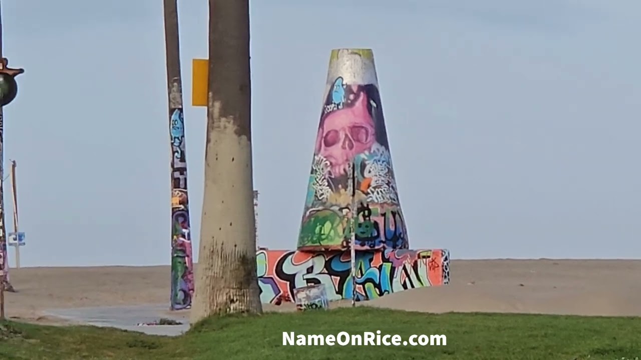 AZIZAM -MY DEAR FARSI PERSIAN BALLOON at V sculpture venice beach California sat march 29, 2025