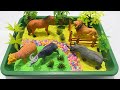 Animal Dioramas | Lion | Horse | Rhinoceros | Sheep | Buffalo | Asmr | Unboxing | Toys