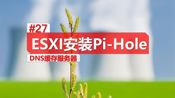 esxi 安装 pi hole 搭建 dns 缓存服务器 急速上网 esxi builds DNS cache server