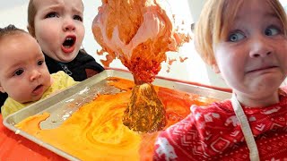 VOLCANO inside our HOUSE!! Homemade Lava experiment with Adley & Niko! family Roblox pet costumes