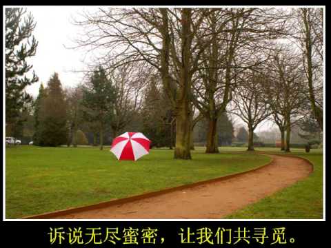 微风细雨2.WMV