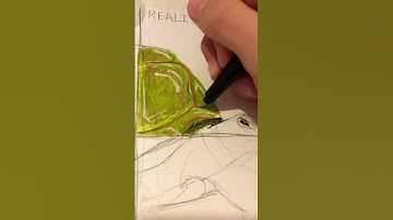 Part one of drawing a turtle#art #drawing #artvideo #turtle
