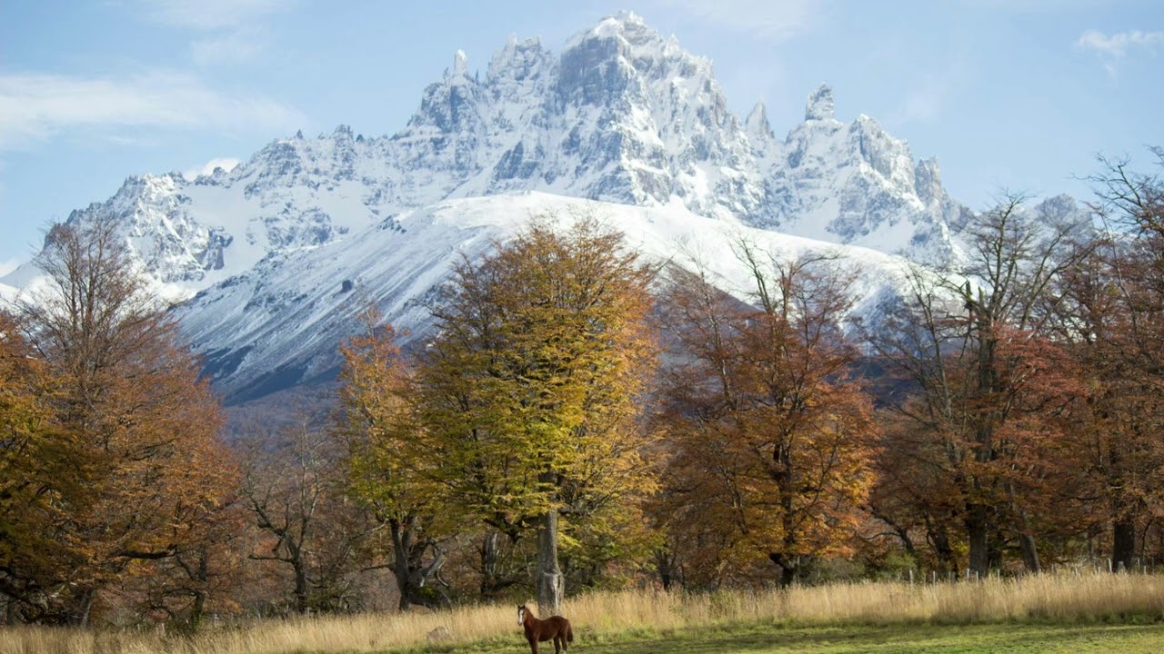 Psalm 141 -  A prayer set as incense (KJV)|Singlogos