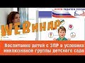 Вебинар "Воспитание детей с ЗПР в условиях инклюзивной группы детского сада"