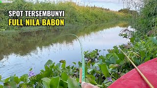 Full Nila babon di spot yang tak terjamah..!! Jackpot nya ngeri besar banget 