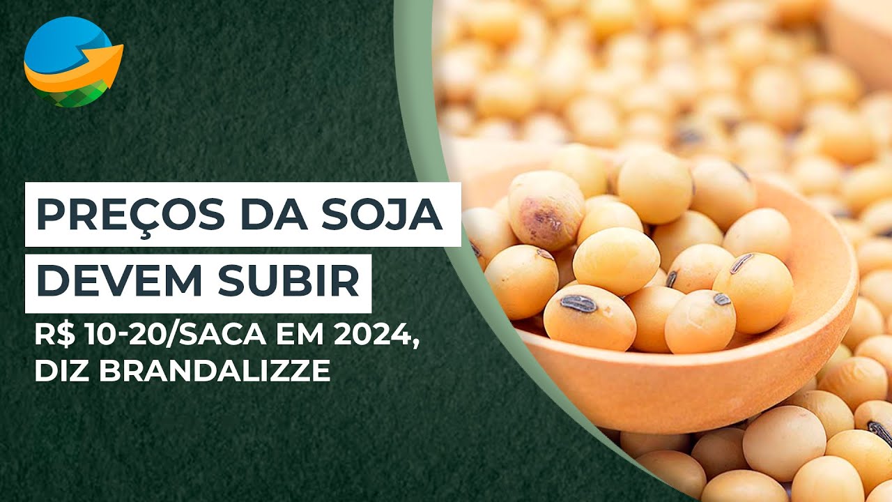 Pre os Da Soja No Brasil Devem Subir R 10 20 saca Em 2024 Diz pre-os-da-soja-no-brasil-devem-subir-r-10-20-saca-em-2024-diz