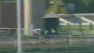 10042018 7° Carrera - |Premio Rancante - 2000mts.| - La Plata.