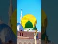 Na Kaliyan Hi Khilti Na Gul Muskurate #madina #shorts #viralvideo #youtubeshorts #video