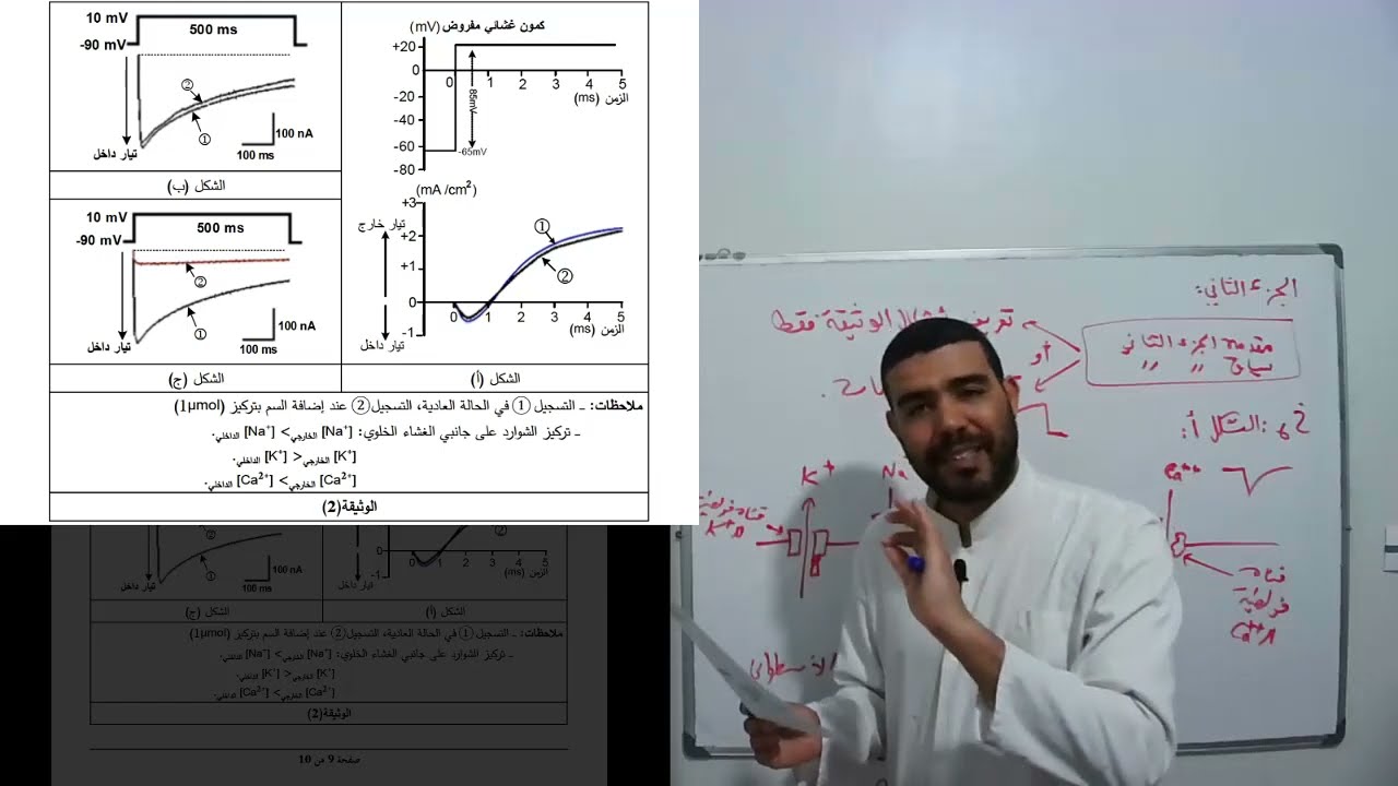 حل تمرين 3 أجزاء سم العنكبوت الخطوة 06