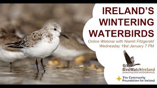 Birds Connect Winter Waterbird Webinar  19th January 2022