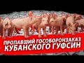 ПРОПАВШИЙ ГОСОБОРОНЗАКАЗ КУБАНСКОГО ГУФСИН | Журналистские расследования Евгения Михайлова