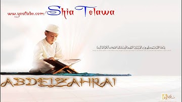 سورة هود - بصوت القارئ ميثم التمار