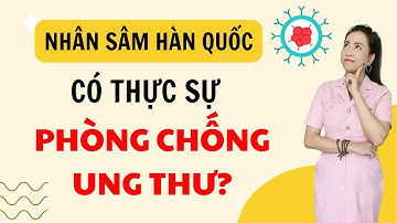 Nhân sâm Hàn Quốc có thực sự phòng chống bệnh ung thư? - Thi Đặng - ANaNa Nhân sâm Korea