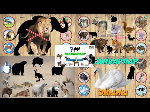 Жануарлар дауысы Сұлбаға қарап жануарды табу Ойлан тап Жинақ
