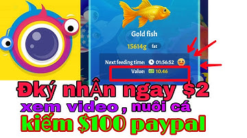 Kiếm $100 một tháng với app Clipclaps xem video, nuôi cá, chơi game quá tuyệt vời