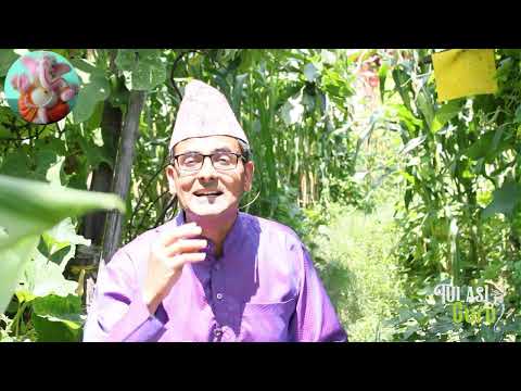 My Video