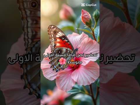 السنة الأولى متوسط تحضير نص ماما الفكرة العامة القيمة التبوية اكسبلور