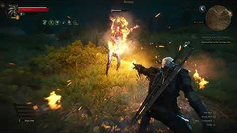 W3EE Redux Alp Fight No Sword