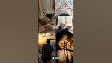تلاوة خاشعة للشيخ القارئ #سعد_الغامدي