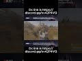 Raid event highlights on bottlewater 2x