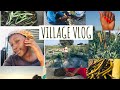 VILLAGE VLOG: |MAKING OMAONGO + OTHERS. |HOME , ONALUNIKE OSHIKOTO REGION♥️🤩| NAMIBIAN YOUTUBER