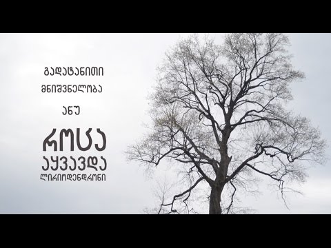 გადატანითი მნიშვნელობა ანუ როცა აყვავდა ლირიოდენდრონი